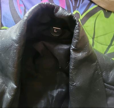 LOCAL PICKUP ONLY Size Large Skeleton Leather Vest 15 dollar - Thumbnail 3