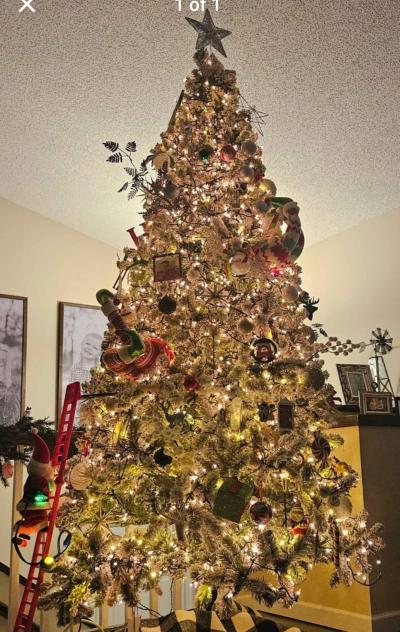 9ft Flocked King of Christmas Christmas tree