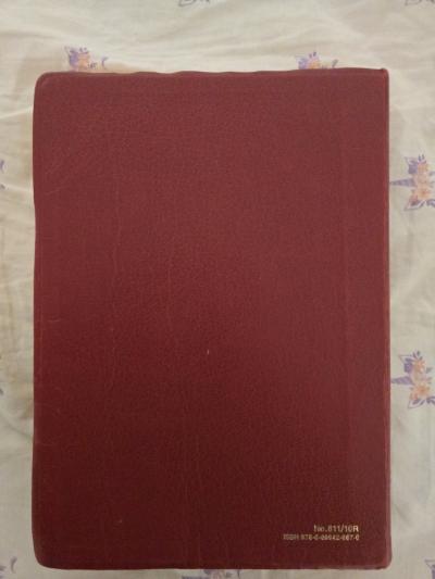 New American Bible saint Joseph - Thumbnail 4