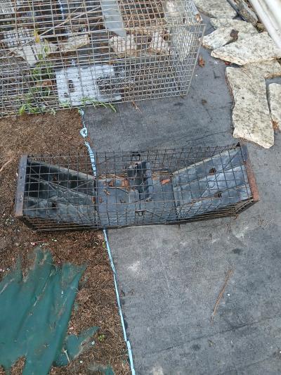 3 live traps - Thumbnail 4
