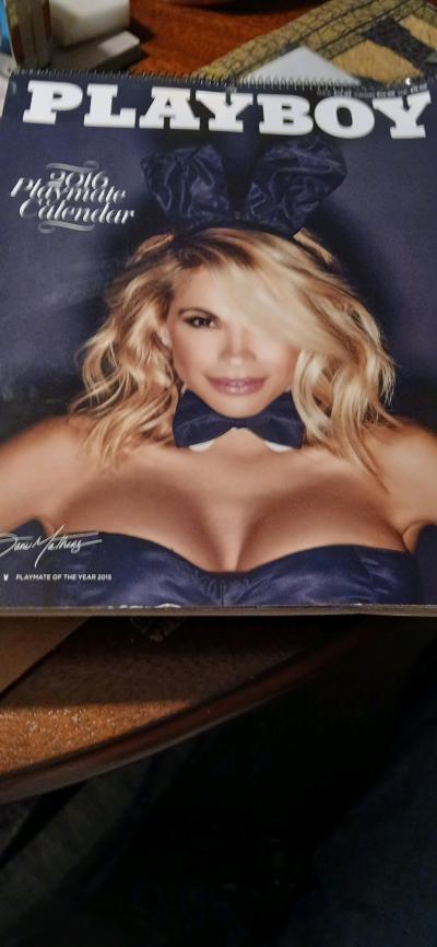 2016 Playboy playmate calendar