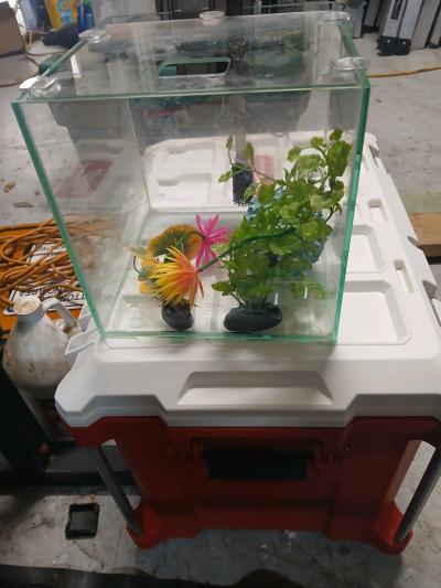 small fish tank