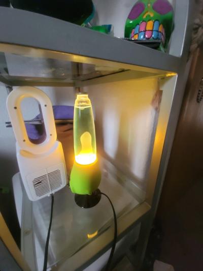 Rhode Island Novelty 13 Inch Alien Head Wax Motion Lamp