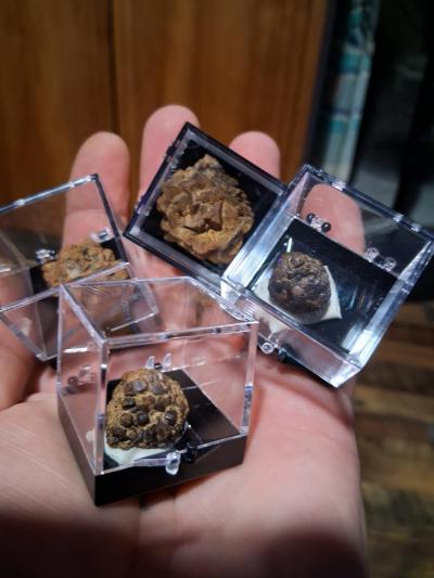 12 pc lot of gothite after pyrite pusdomorph - Thumbnail 3