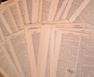 100 pages  Vintage 1947 Dictionary Ephemera - Thumbnail 3