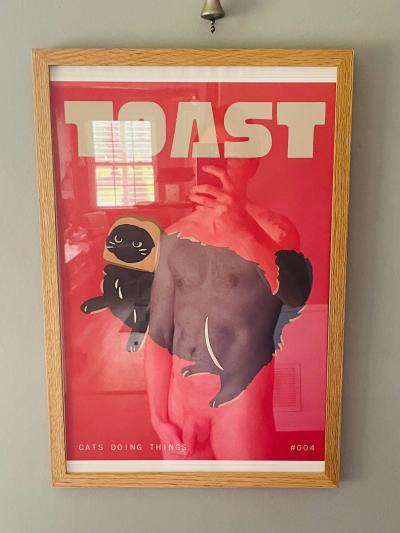 Free Cat Poster With Frame