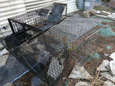 3 live traps - Thumbnail 3