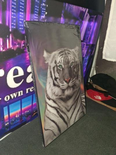 Animal 11x17 Framed 35 each Shipping on Facebook or Ebay - Thumbnail 2