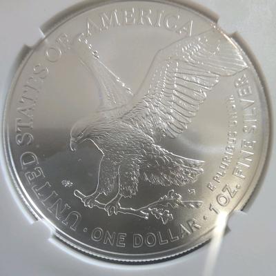2025 EARLY RELEASE MS69 1 DOLLAR SILVER EAGLE - Thumbnail 3