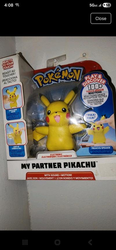 my partner Pikachu