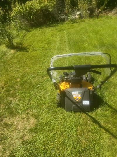 dewalt lawn mower - Thumbnail 2
