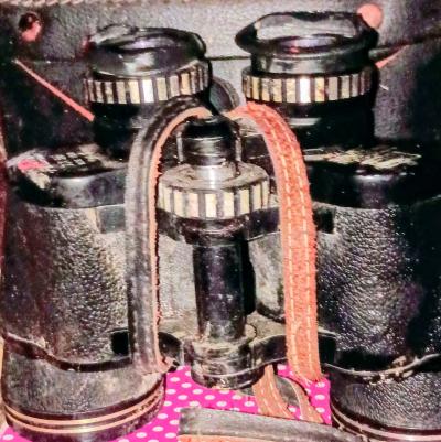 Binoculars and Carrying Case