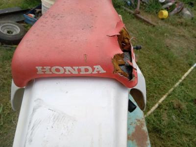 Honda z50r runs great - Thumbnail 3