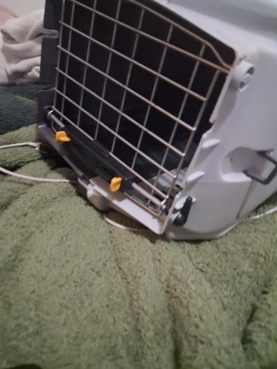 Brand New Extra Small Pet Carrier - Thumbnail 5