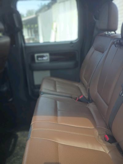 2014 Ford Platinum - Thumbnail 3