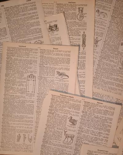 100 pages  Vintage 1947 Dictionary Ephemera - Thumbnail 2