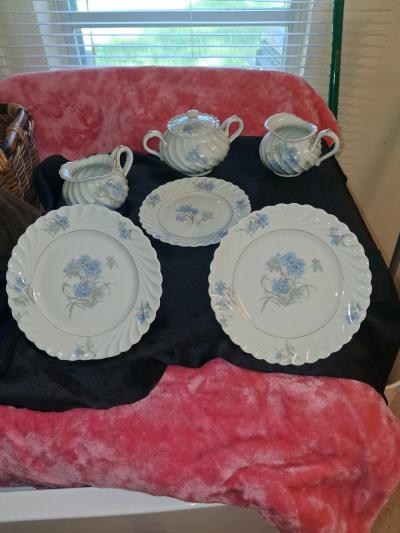 Beautiful authentic vintage Haviland Limoges fine porcelain