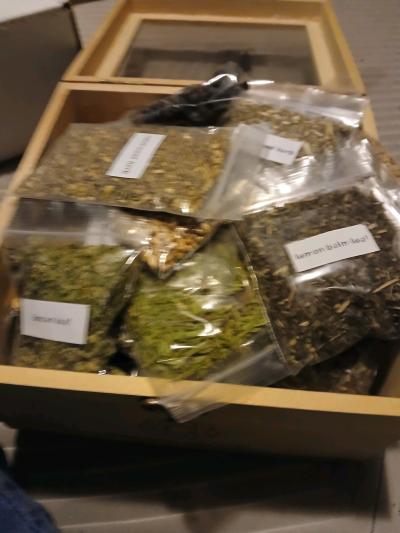 crystals lots of herbs berry teas sage - Thumbnail 6