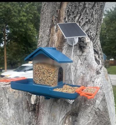Comedero Inteligente para Pajaros con Camara y Panel Solar - Thumbnail 3