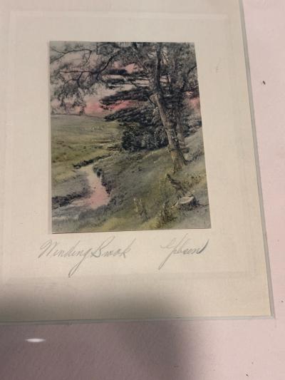 Antique framed hand colored photographs by Gibson 1900 - Thumbnail 3