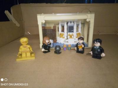 Lego Harry Potter  Polyjuice Potion Mistake