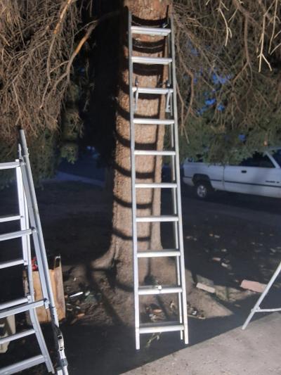 Bauer 20 Aluminum Extension Ladder  Type IA 300 lbs  Heavy D - Thumbnail 6