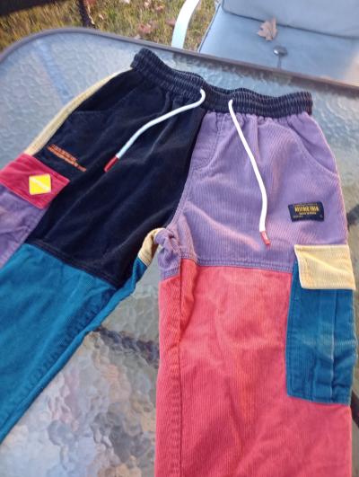 Aelfric Eden cargo pants size Large multi color blocks