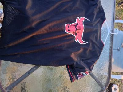Bulls NBA Jersey shirt barley worn great shape - Thumbnail 4