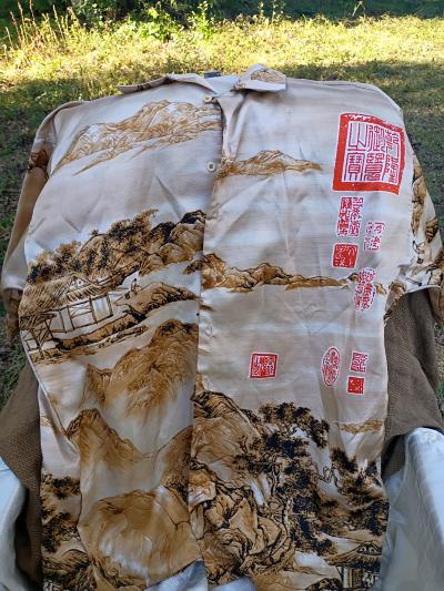 A Nice mens Button Down Short Sleeve Top