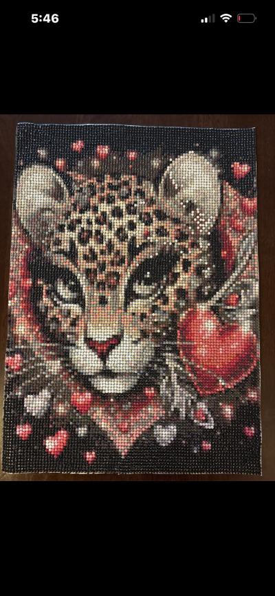 Diamond Art Completed Paintings - Unframed