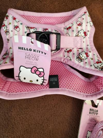 Hello Kitty Cat Step in Harness w Matching Leash