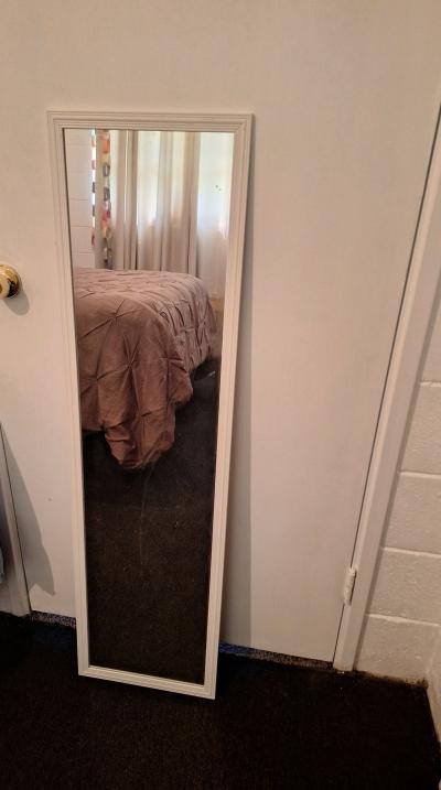Door Mirror