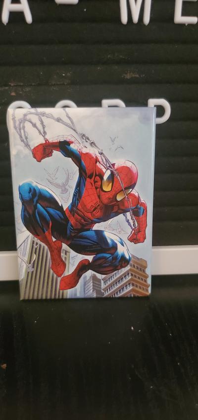 Marvel SpiderMan Magnet