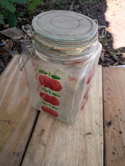 A Vintage Tall  Apple Glass Canister with Seal Snap  Lid - Thumbnail 2