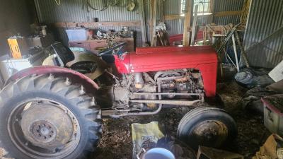 Massy Ferguson tractor