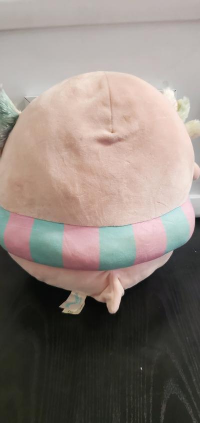 Archie Floatie the Axolotl - Thumbnail 3