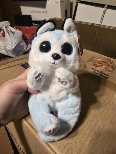 New Ty Beanie Bellies Thunder Husky 7 Plush Toy NWT