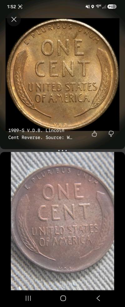 1909 vdb s wheat - Thumbnail 5