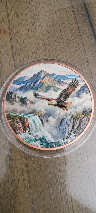 5 Oz AVDP Copper Round Eagle USA