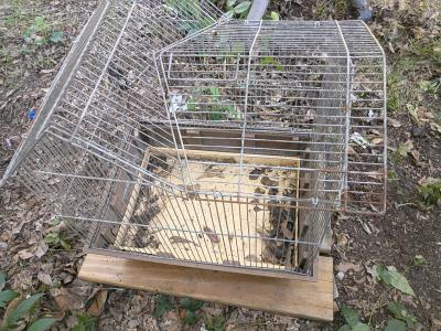 A Large Bird Cage