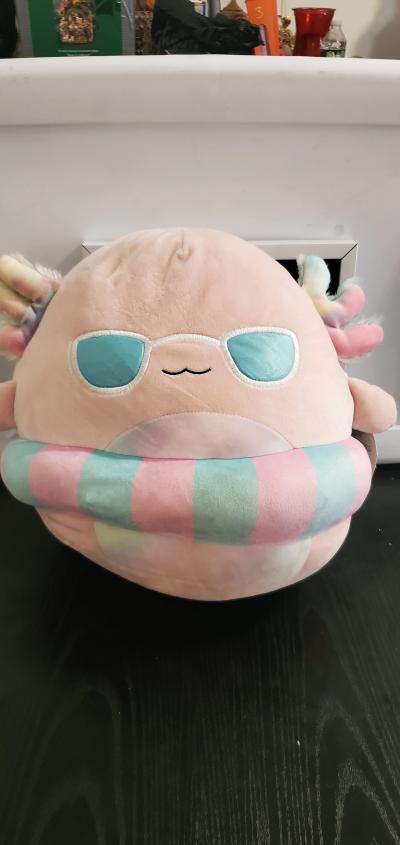 Archie Floatie the Axolotl