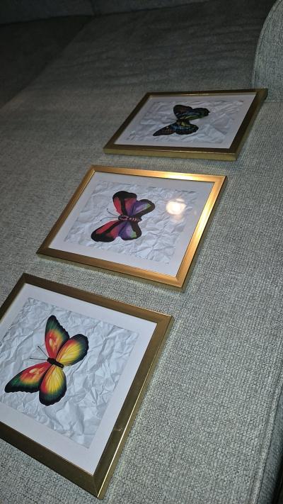 3 pc homemade butterfly pictures - Thumbnail 2