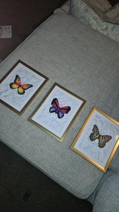 3 pc homemade butterfly pictures