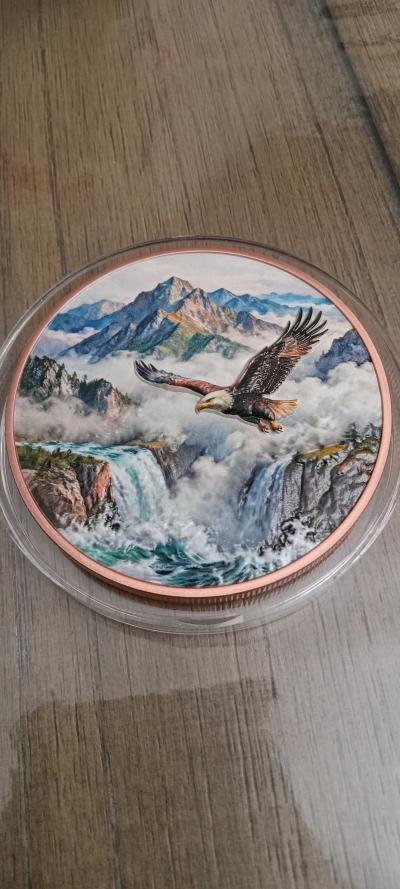 5 Oz AVDP Copper Round Eagle USA - Thumbnail 2