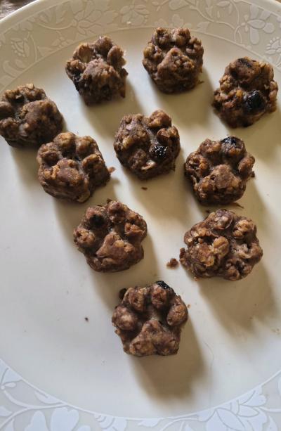 Home Made Healthy Baked Dog and Cat Treats - Thumbnail 4