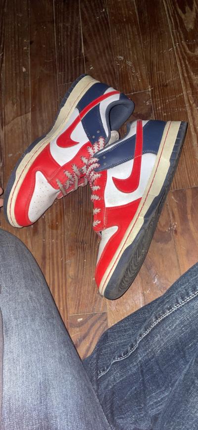 mens Nike dunks
